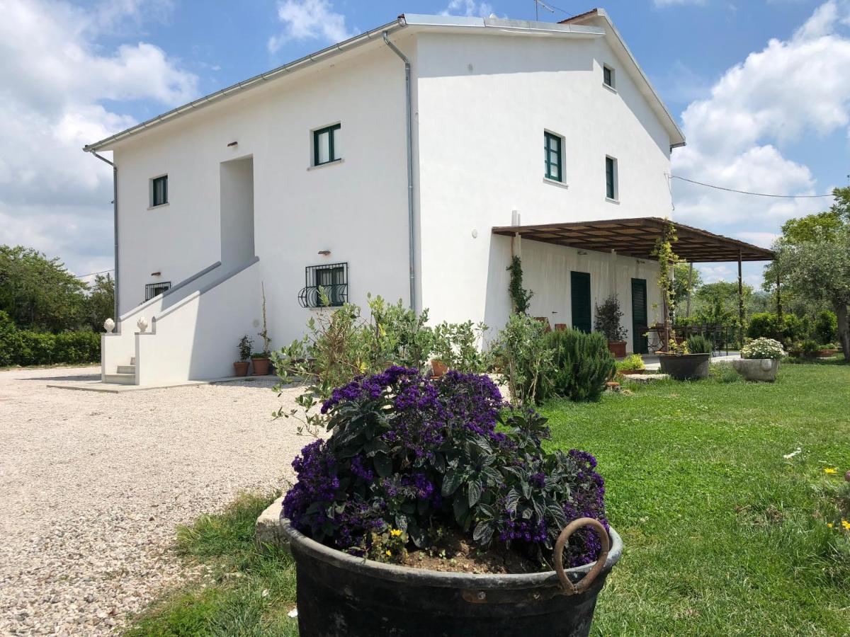 Вілла Casa Agricola Scorziello Serre  Екстер'єр фото