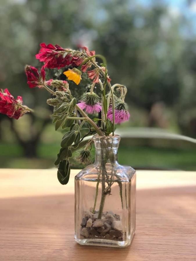 Вілла Casa Agricola Scorziello Serre  Екстер'єр фото